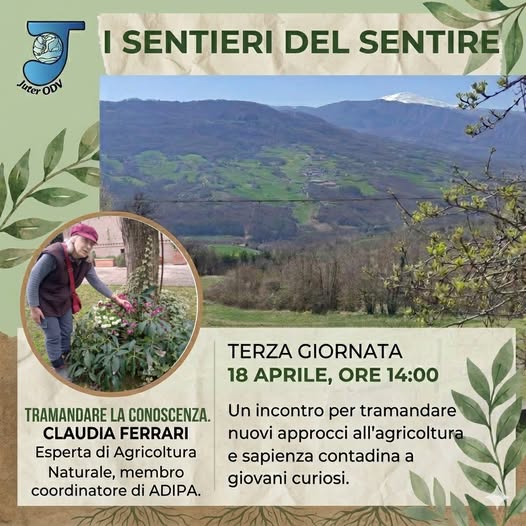 Arte espressiva durante il laboratorio di Chiara Orsi